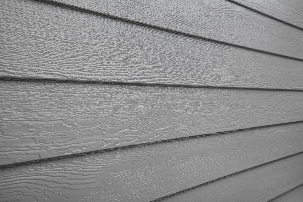 15151469-premium-pelican-angle_1000